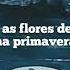 You Abc Dialect Tradução Legendado
