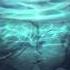 Really Slow Motion Forever In My Dreams Emotional Beautiful Uplifting