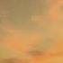 Shura Just Once