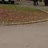 Police Identify 21 Year Old Killed In Shooting At Bronx Playground