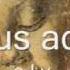 Haydn JM Angelis Suis Chorus Ad Hoc