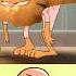 Garfield Without Hair Funny Garfield Memes Shorts