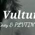 Chris Grey PLVTINUM The Vultures Lyrics Sub Español