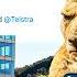 How Telstra Screwed Over Aus Internet Speed For DECADES