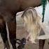 Time For A Bath Equestrian Horse Horselover Horseriding