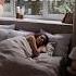 Lniana Pościel Nie Tylko Na Upały Len Linen Homedecor Linet Linenlove Home Duvetcover