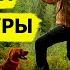 Охотничьи приключения в Норвегии без цензуры III NORDIC WILD HUNTER Охотник и рыболов
