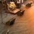 Giorgos Dalaras Bregovic 4 Avo Session Basel 13 11 11