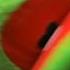 Kermit And Elmo S Civil War Comedy Funny Kermit Elmo Kermitandelmo