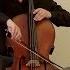 Vincent Belanger Performing Live Playing His Cello Talking Audio Note Music Hi Fi Show Live 2017