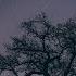 Spencer Brown Stream Of Consciousness Full Album