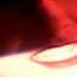 Cathy Dennis Touch Me All Night Long