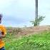 Ytshorts Shortsfeed Cute Shorts Nature Greenery Monsoon Sky Azlan Kamareddy Nizamabad