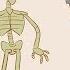 How To Fossilize Yourself Phoebe A Cohen