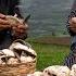 Mountain To Table Foraging And Cooking Mushrooms In Shahdag