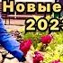 Премьера клипа Хайриддин Махмад Ты чужая но любил 2023г Khayriddin Mahmad 2023г