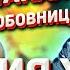 ОЛЬГА САМАРИНА И ЮРИЙ ХОЙ КЛИНСКИХ СЕКТОР ГАЗА НАХОДУПОХОДУ