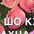 Дала декъал йойл