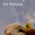 Eid UL Adha Mubarak To All Of U Bakraeid2025 Qurbani