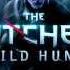 The Witcher 3 Soundtrack Ambient Version Depth Of Field Mix