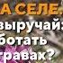 Бизнес на селе Иван чай выручай как заработать на диких травах 39