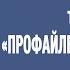 Владлен Статный Структура тренинга Профайлер верификатор Часть 1