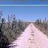 Virtual Run Treadmill Video For Running With Music 160 BPM 02