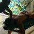 Would You Do This A Different Type Of Massage Vichyshower Bali