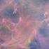 Fractal Forms