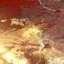 PATH Of EXILE 1 How Do Mercenaries Work Can A Merc Solo Malachai 3 26 Secrets Of The Atlas