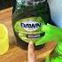 Busy Way To Kill Gnats In 3 Seconds No Waiting INSTANT RESULT