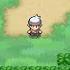 Hoenn Route 104 DS Remix Pokémon Ruby Sapphire Emerald Diamond Pearl