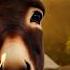 Donkey Is Playing With Cat Speedsong Anime Music Nightcore Phonkmusic Audio Viralvideo