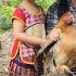 7th Harvest Of Long Beans Luyen And Kieu Bought A Second Flock Of Chickens