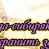 Опыт садовода сибиряка В Железова Как сохранить здоровье Серия 1