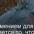 Коран Сура Ясин 36 41 Чтение Корана с русским переводом Quran Translation In Russian