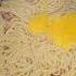 Simple Carbonara Pasta For Kids