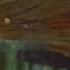 The Forest Hide And Seek W Ulyaoth Ebola Chan And Satanic