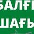 ӘН БАЛАЛЫҒЫМ БАЛҒЫН ШАҒЫМ Балаларға арналған қазақша әндер