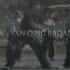 Yan Qing Dao Broadsword Applications