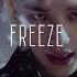 Stray Kids FREEZE Speed Up