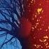 528Hz Release Inner Conflict Struggle Anti Anxiety Cleanse Release Worry Anxiety