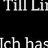 Till Lindemann Ich Hasse Kinder KARAOKE