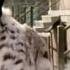 Sparkle Featuring R Kelly Be Careful HD Widescreen Music Video