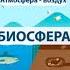 Биосфера земная оболочка География 6 класс География просто и понятно