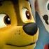 PAW Patrol Chase Marshalls Beste Rettungsmissionen 1 Stunde Compilation Nick Jr