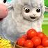 A Ram Sam Sam Feeding Animals Farm Animal Series Kids Songs Nursery Rhymes LiaChaCha