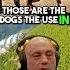 Why BELGIAN MALINOIS Are Perfect MILITARY DOGS JRE Animalshorts Joerogan Jre