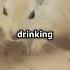 Arid Meaning Usage