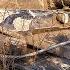 Obj 907 Good Action On Karelia World Of Tanks